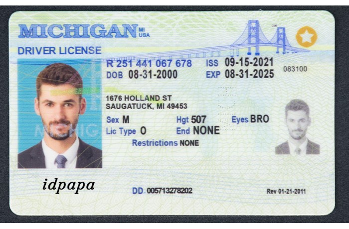 Michigan Card